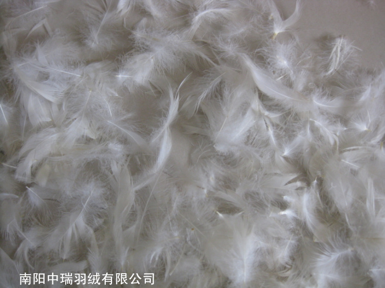 Пуховик мужской Swiss feather 2-4cm Короткая (до пояса и выше) Пуховик мужской Swiss feather 2-4cm Swiss feather Верхняя одежда Молодежь 50 Короткая (до пояса и выше)