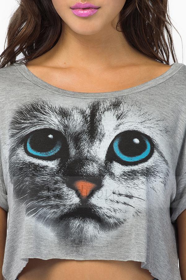 批发采购女式T恤-大眼猫咪头像写真印花短款宽