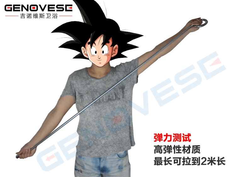 Биде 吉诺维斯 全铜冷热妇洗冲洗器小花洒洁身器二联水龙头带喷枪 Genovese