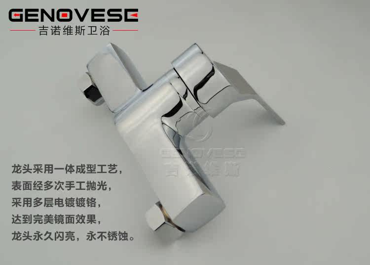 Биде 吉诺维斯 全铜冷热妇洗冲洗器小花洒洁身器二联水龙头带喷枪 Genovese