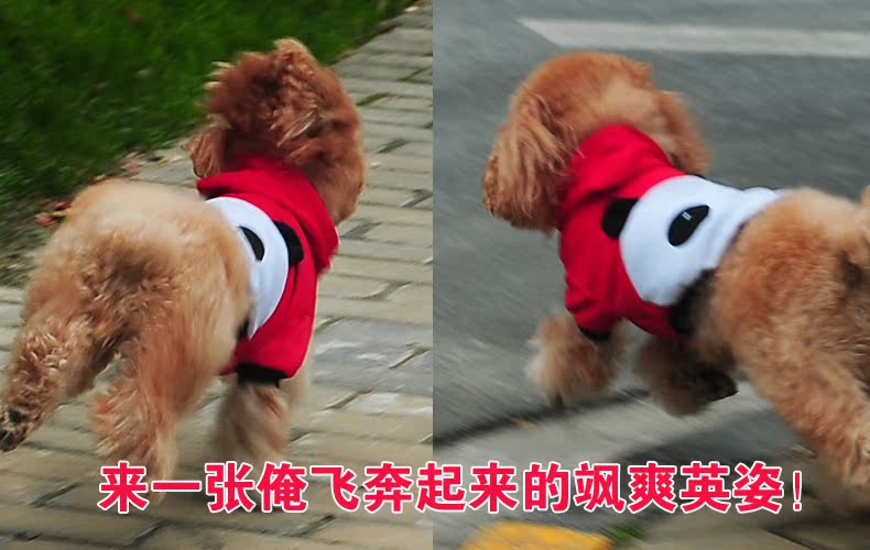 Diman pet dog spring clothes tedu pets in the spring and summer, autumn and winter clothing dog with four-Legged Dog Yi vest vip than Xiong Hiromi puppies t-shirt spring and summer, red XL Photo, prices, brand platters! The elections are supplied in the national character of distribution, so action, buy now enjoy more preferential! As soon as possible.
