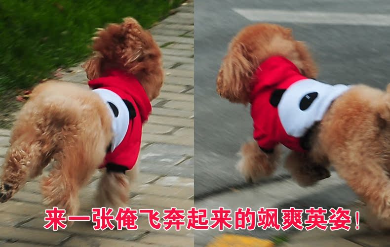 Diman pet dog spring clothes tedu pets in the spring and summer, autumn and winter clothing dog with four-Legged Dog Yi vest vip than Xiong Hiromi puppies t-shirt, blue spring and summer, pictures, price XS, brand platters! The elections are supplied in the national character of distribution, so action, buy now enjoy more preferential! As soon as possible.