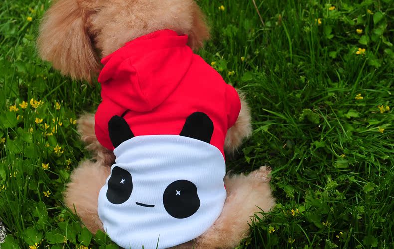 Diman pet dog spring clothes tedu pets in the spring and summer, autumn and winter clothing dog with four-Legged Dog Yi vest vip than Xiong Hiromi puppies t-shirt spring and summer, red S of pictures, prices, brand platters! The elections are supplied in the national character of distribution, so action, buy now enjoy more preferential! As soon as possible.