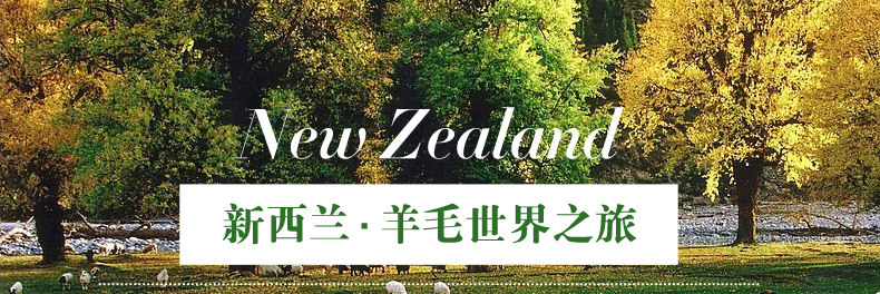 ковер 东升新西兰羊毛地毯欧式客厅茶几垫卧室床边满铺毯加密加大加厚款 Dongsheng XM/004