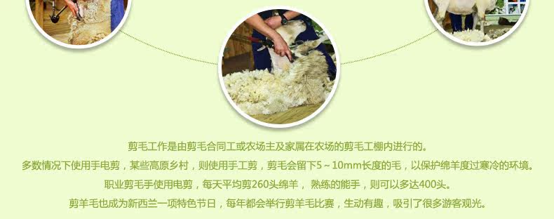 ковер 东升新西兰羊毛地毯欧式客厅茶几垫卧室床边满铺毯加密加大加厚款 Dongsheng XM/004