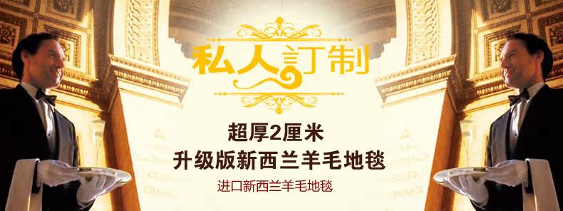 ковер 东升新西兰羊毛地毯欧式客厅茶几垫卧室床边满铺毯加密加大加厚款 Dongsheng XM/004