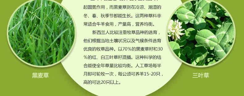 ковер 东升新西兰羊毛地毯欧式客厅茶几垫卧室床边满铺毯加密加大加厚款 Dongsheng XM/004