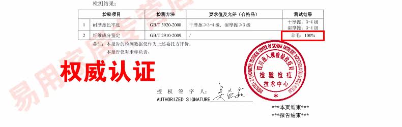 ковер 东升新西兰羊毛地毯欧式客厅茶几垫卧室床边满铺毯加密加大加厚款 Dongsheng XM/004