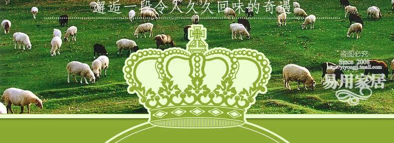 ковер 东升新西兰羊毛地毯欧式客厅茶几垫卧室床边满铺毯加密加大加厚款 Dongsheng XM/004