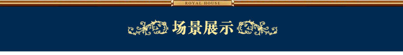 ковер 东升土耳其波斯风手工剪花地毯欧式古典客厅卧室茶几垫书房小美风 Dongsheng dtds800v4364iv