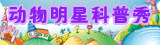 动物明星秀场