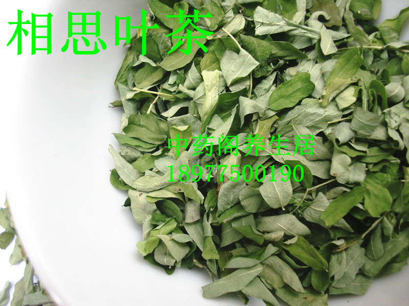 相思叶,相思藤,相思藤叶/山甘草叶/寸节七叶 支气管炎