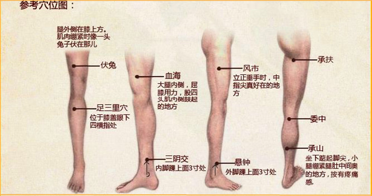 建议你可以经常按摩足三里达到养生保健的效果.