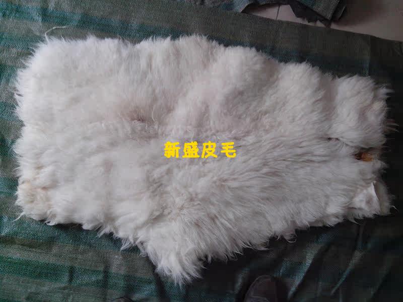 新款骑兵<em>马裤</em> 专业骑车全弹力<em>羊皮马裤</em> 弹力耐