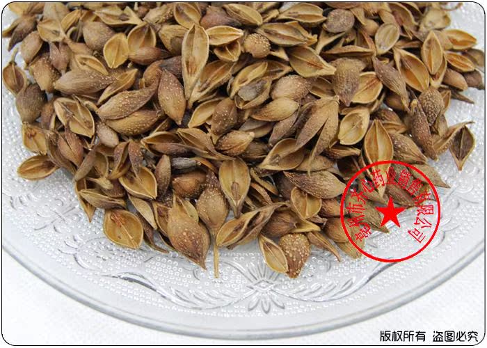 植物原药材-批发供应中药材 黄翘-植物原药材尽