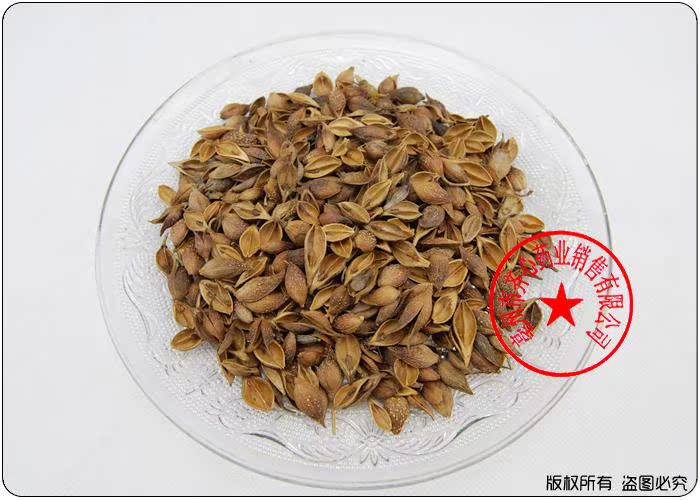 植物原药材-批发供应中药材 黄翘-植物原药材尽