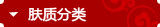 肤质分类