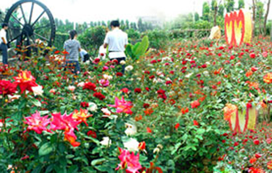 【【东莞】隐贤山庄快活谷门票套票(19种项目