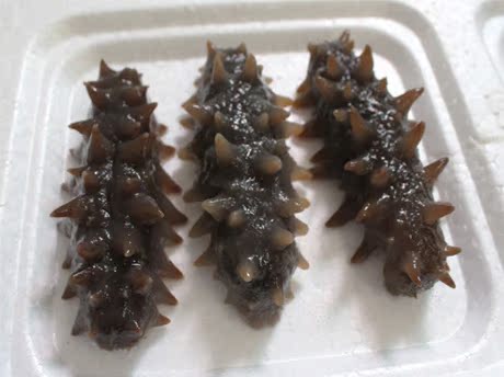 大连即食海参 礼盒辽刺参刺参去沙嘴干净即食