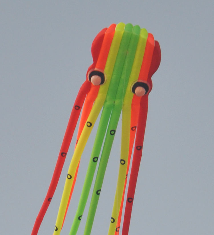 飞悦专业软体风筝 23米筒章鱼 玩家必备