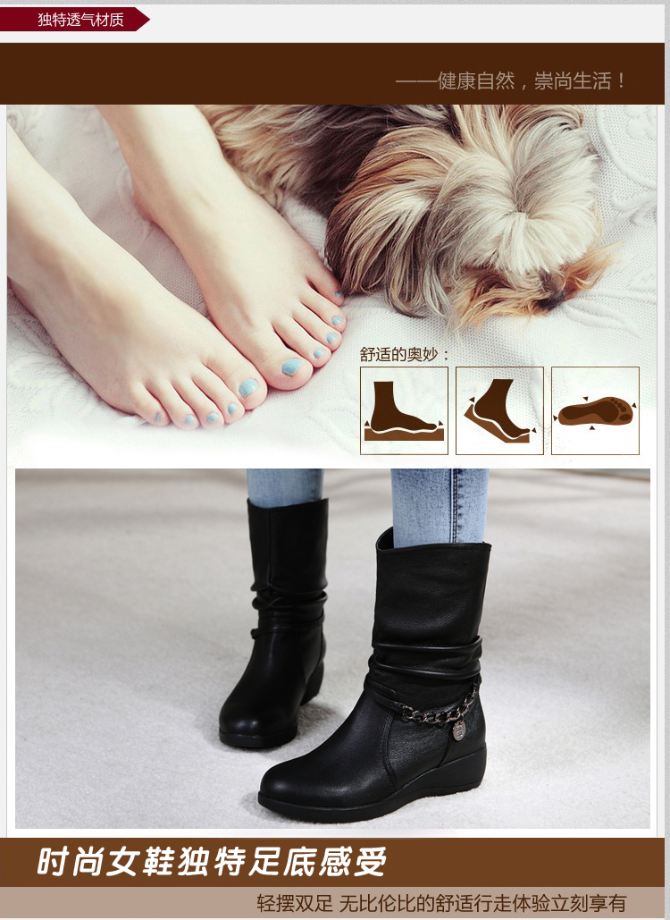 Женские сапоги Belle Scott bl588 2013 Женские сапоги Belle Scott bl588 2013 Belle Scott