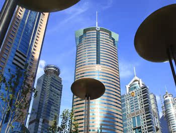 合肥到上海东方明珠动车二日游 上海旅游景点