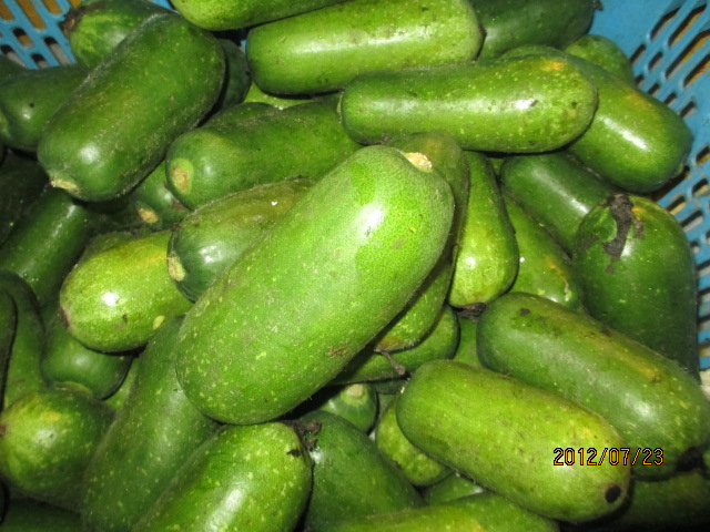 瓜果类-老一特卖 迷你小冬瓜 小节瓜 有机新鲜