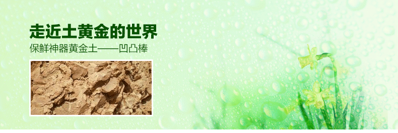 Gpmoto 车用家用竹炭包 除异味除甲醛 新车必备除味剂 活性炭包+纳米矿晶