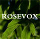 rosevox-有好听的背景音乐