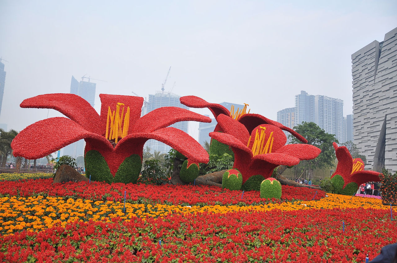 广州海心沙旅游公园图片