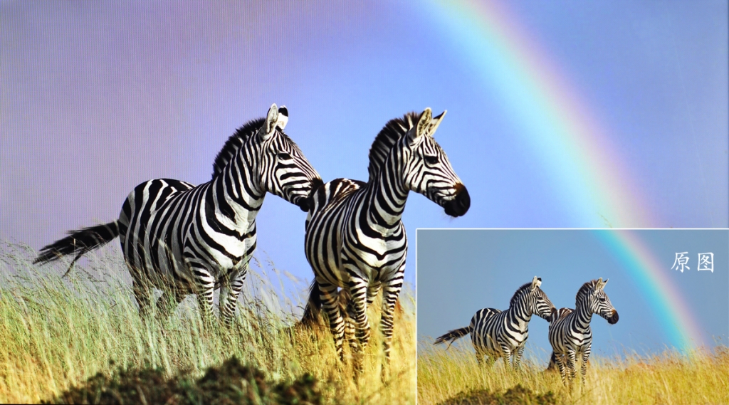 不闪的好色的：飞利浦好色显示器体验评测