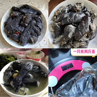 买一送一!乌鸡农家散养现杀两只装券后69元包邮